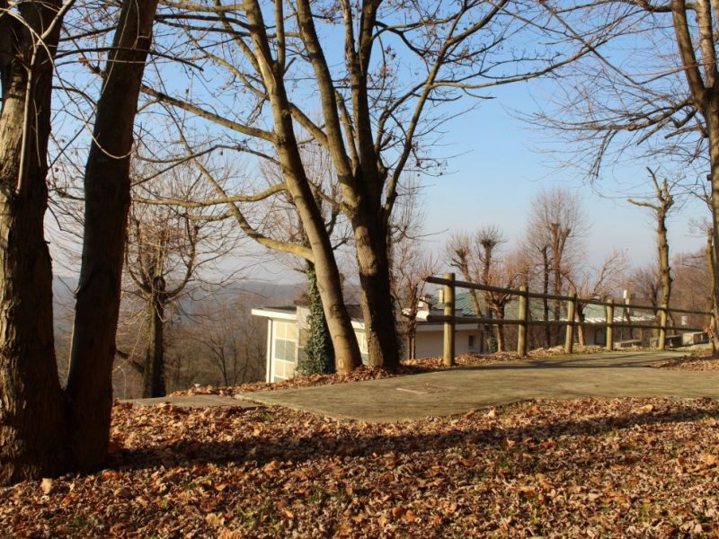 una vista del parco